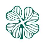4 Leaf Clover